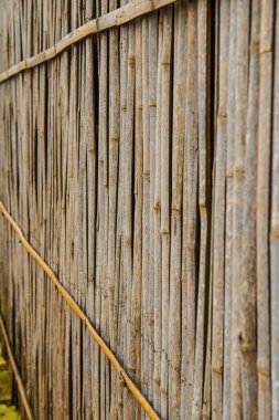 Tayland bambu duvarının arka planı