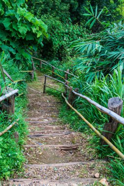 Tayland, Tayland 'da bambu raylı ahşap merdivenler