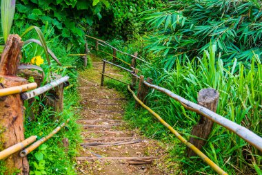 Tayland, Tayland 'da bambu raylı ahşap merdivenler