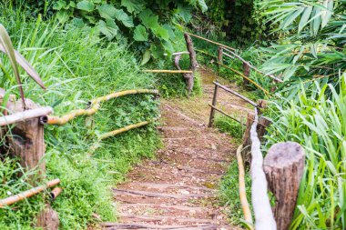 Tayland, Tayland 'da bambu raylı ahşap merdivenler