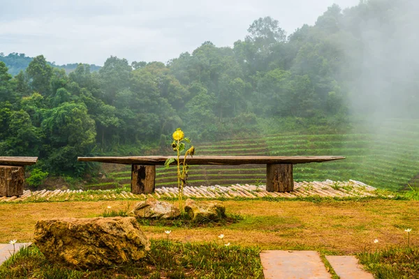 Tayland manzarası için dağdaki ahşap bank.