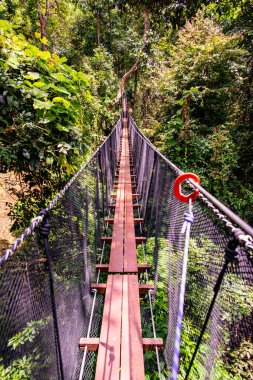 Mae Fah Luang Bahçesinde Ağaç Tepesi Yürüyüşü, Chiang Rai.