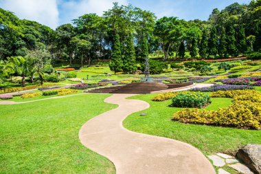 Mae Fah Luang Garden Peyzajı, Tayland.