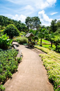 Chiang Rai bölgesindeki Mae Fah Luang Bahçesi, Tayland.