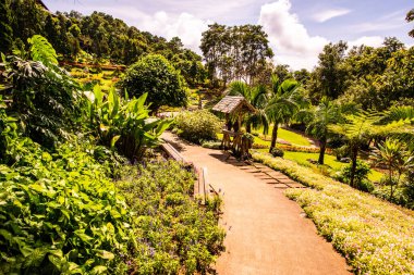 Chiang Rai bölgesindeki Mae Fah Luang Bahçesi, Tayland.