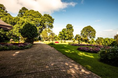 Chiang Rai bölgesindeki Doi Tung Kraliyet Konağı 'nda güzel bir park..