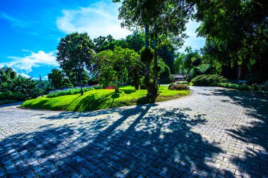Chiang Rai bölgesindeki Doi Tung Kraliyet Konağı 'nda güzel bir park..
