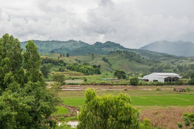 Tayland 'ın Chiang Rai eyaletinde güzel doğal manzara..