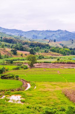 Chiang Rai Eyaleti, Tayland Doğal Manzarası.