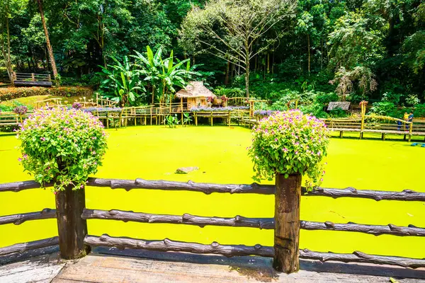 Mae Fah Luang bahçesinin manzarası, Tayland.