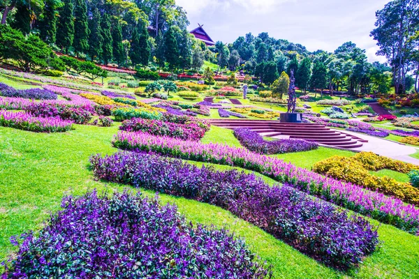 Mae Fah Luang Garden Peyzajı, Tayland.