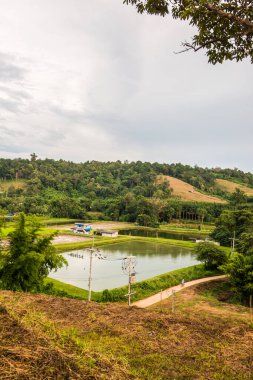 Tayland, Tayland kırsal manzarası.