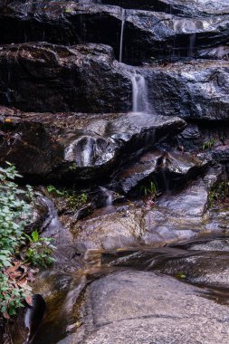 Thailand 'daki Doi Suthep Pui Ulusal Parkı' ndaki Şelaleden.