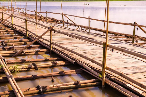 Phayao 'daki Kwan Phayao Gölü' ndeki bambu köprüsü..