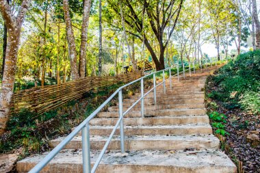 Ulusal Park, Tayland 'da beton merdiven.