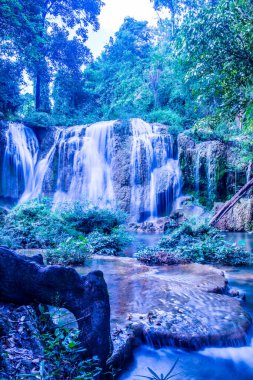 Tansawan Şelalesi Doi Phu Nang Ulusal Parkı, Tayland.