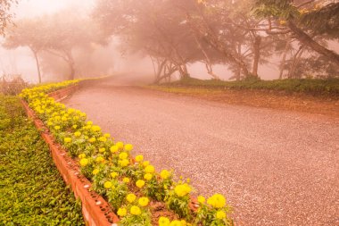 Tayland 'ın Phayao eyaletinde kış mevsiminde sisli bir manzara.