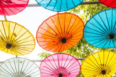 Tayland ana şemsiyesinin arka planı, Tayland.