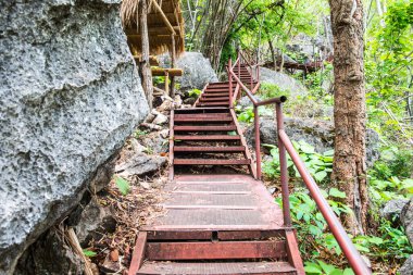Ormanda çelik merdivenler, Tayland.