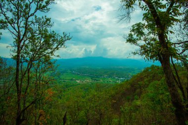 Chalermprakiat Prachomklao Rachanusorn Tapınağı, Tayland.