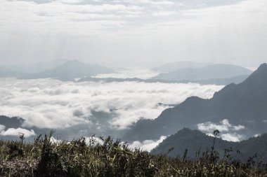 Chiangrai Eyaleti, Tayland 'daki Phu Chi Fa Manzara Noktasında Sis Denizi.