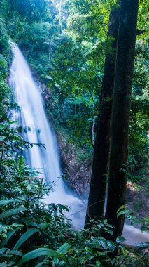 Khunkorn Şelalesi, Tayland, Chiang Rai bölgesinde..