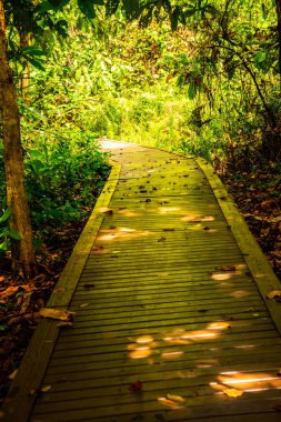 Phu Sang, Tayland 'da doğa yolu..