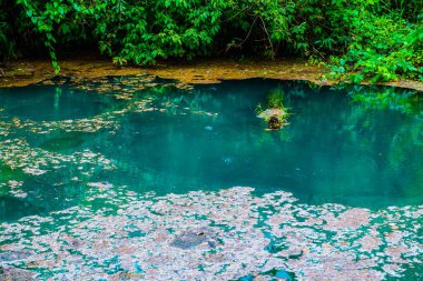 Tayland 'daki Phu Sang Milli Parkı' nda sıcak bir gölet..