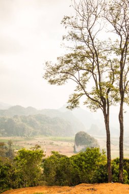 Phu Langka Ulusal Parkı, Tayland Güzel Manzarası.