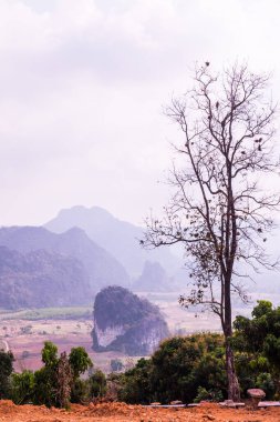 Phu Langka Ulusal Parkı, Tayland Güzel Manzarası.