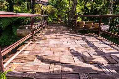 Tayland 'da parkta küçük bir köprü..