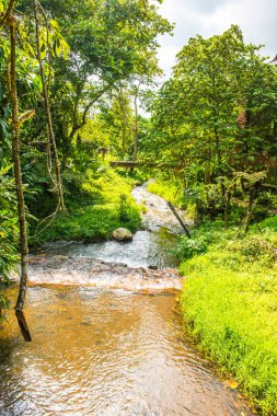 Küçük kanallı park, Tayland.