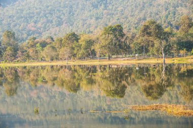 Tayland 'ın Chiangmai ilindeki Huay Tueng Tao gölünün manzara manzarası.