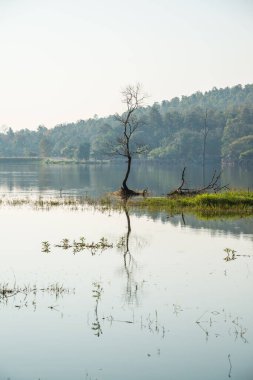 Tayland 'ın Chiangmai ilindeki Huay Tueng Tao gölünün manzara manzarası.