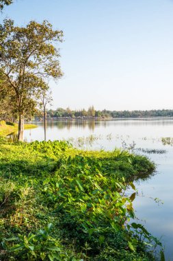 Tayland 'ın Chiangmai ilindeki Huay Tueng Tao gölünün manzara manzarası.