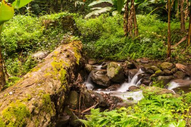 Champa Tanga Şelalesinde Su Akıyor, Tayland.