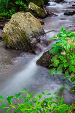 Champa Tanga Şelalesinde Su Akıyor, Tayland.