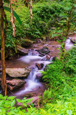 Champa Tanga Şelalesinde Su Akıyor, Tayland.
