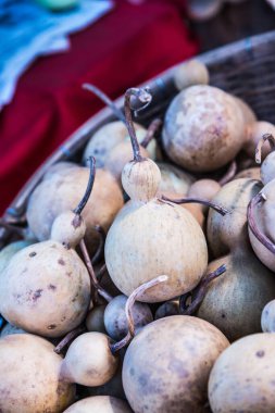 Kurutulmuş şişe kabağı, Tayland.