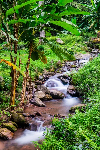 Champa Tanga Şelalesinde Su Akıyor, Tayland.