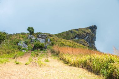 Chiangrai, Tayland 'daki Phu Chi Fa Dağı manzarası.