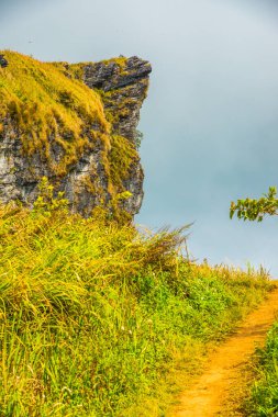 Chiangrai, Tayland 'daki Phu Chi Fa Dağı manzarası.