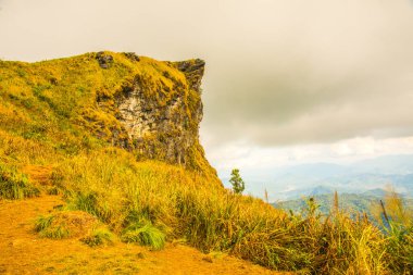 Chiangrai, Tayland 'daki Phu Chi Fa Dağı manzarası.