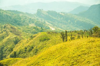 Chiangrai, Tayland 'daki Phu Chi Fa Dağı manzarası.