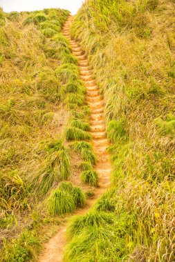 Phu Chi Fa, Tayland 'da dağda yürüyüş yolu.