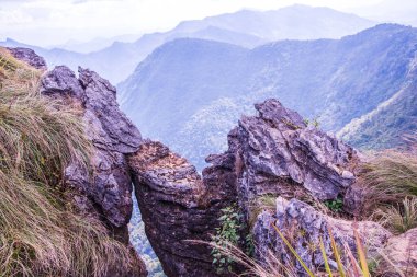 Chiangrai, Tayland 'daki Phu Chi Fa Dağı manzarası.