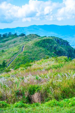 Chiangrai, Tayland 'daki Phu Chi Fa Dağı manzarası.