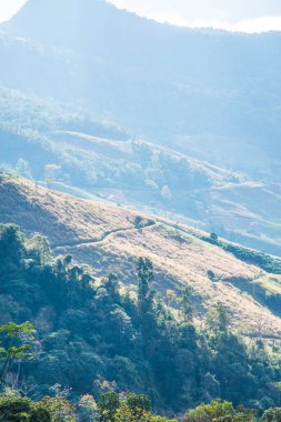 Tayland 'ın Chiangrai eyaletinde dağ manzarası.