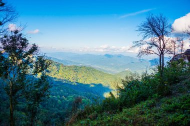 Tayland 'ın Chiangrai ilindeki Doi Pha Tang Dağı manzarası.