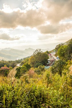 Tayland 'ın Chiangrai ilindeki Doi Pha Tang Dağı manzarası.
